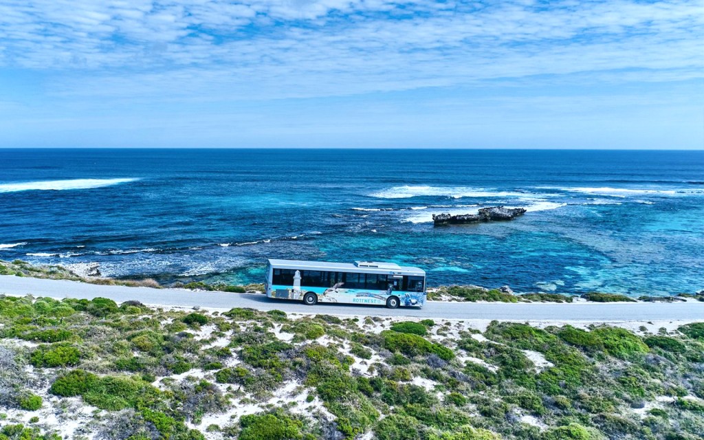 Rottnest Island geführte Tour mit Bus und Fähre zurück (Round-Trip Transfers from Hillarys) - 2
