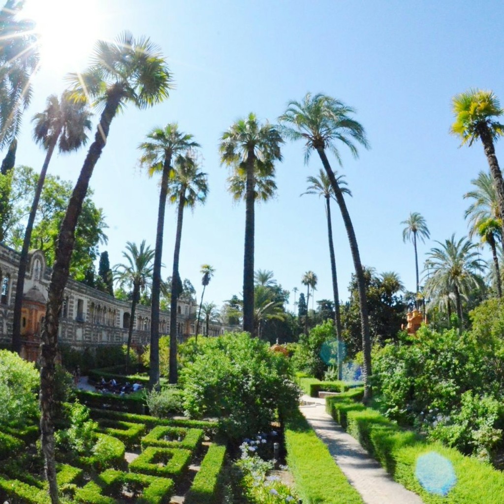 Real Alcázar de Sevilla, Catedral i Giralda: Entrada + Visita guiada - 1