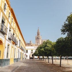 Royal Alcázar of Seville: Early Access + Guided Tour - 3