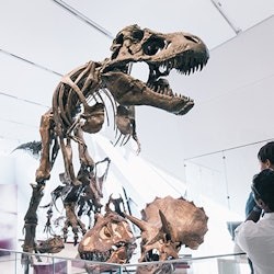 Royal Ontario Museum: bilet wstępu - 3