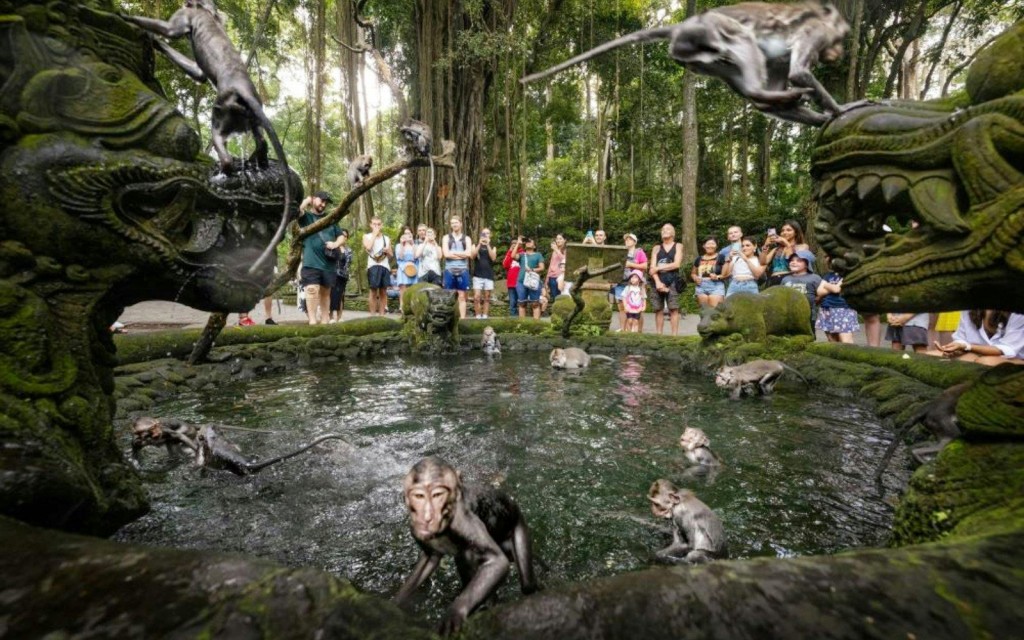 Sacred Monkey Forest Ubud Tickets - 2