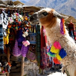 Sacred Valley Day Trip from Cusco - 2