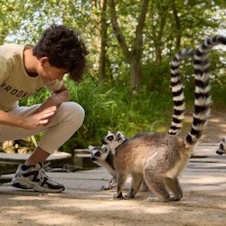 Safaripark Beekse Bergen - 2