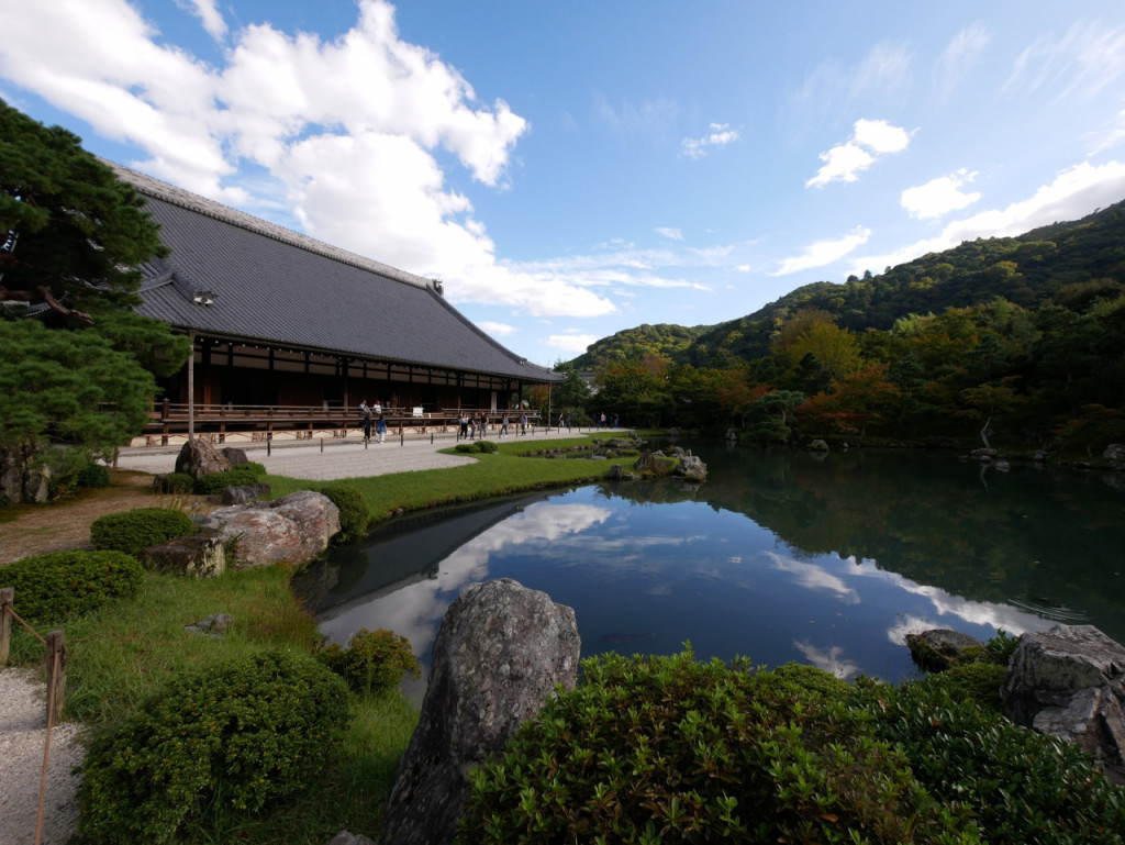 Sagano Bamboo Grove and Arashiyama Half-Day Walking Tour - 2