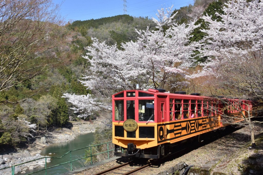 京都嵯峨野浪漫小火车 (嵯峨野浪漫小火车: 从龟冈 到 嵯峨野(单程票)) - 2