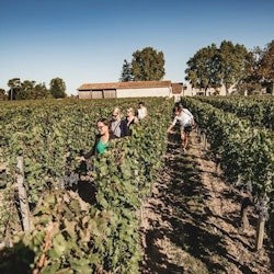Saint-Emilion: Guided Wine Tasting Tour + Lunch - 1