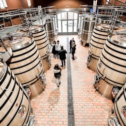 Saint-Emilion: Guided Wine Tasting Tour + Lunch - 3