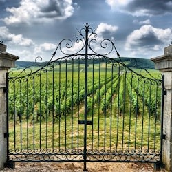 Saint-Émilion Village: Full-Day Wine Tour from Bordeaux - 2