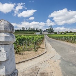 Saint-Émilion Village: Half-Day Wine Tour from Bordeaux - 2