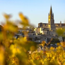 Saint-Émilion Village: Half-Day Wine Tour from Bordeaux - 3
