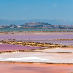 Saline Conti Vecchi: Entry Ticket - 2