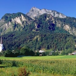 Salzburg, Hallstatt, Melk, Alps & Lakes: Guided Tour from Vienna - 2