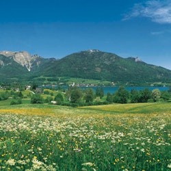 Salzburg: Original Sound of Music Tour - 3