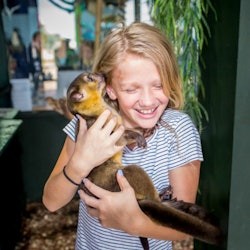 San Antonio Aquarium: Entry Ticket - 2