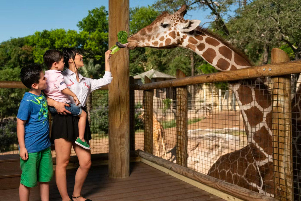 San Antonio Zoo Ticket (Admission) - 1