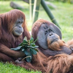 San Diego CityPASS: Choose 4 or 5 Attractions - 3