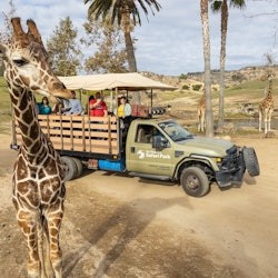 San Diego Zoo & Safari Park: 2-Visit Pass - 2