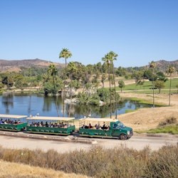 San Diego Zoo & Safari Park: 2-Visit Pass - 3