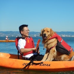 San Francisco: 1-Hour Kayak or Stand-up Paddleboard Rental - 1