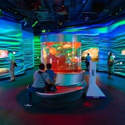 San Francisco City Card - 1