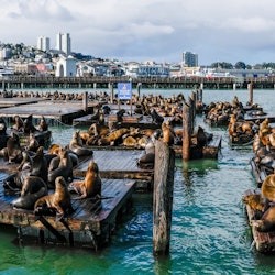 San Francisco City Card - 2