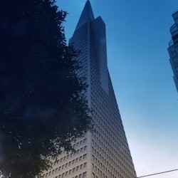 San Francisco City Morning Tour - 3