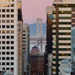 San Francisco City Tour + Muir Woods - 1