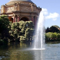 San Francisco City Tour + Muir Woods - 2