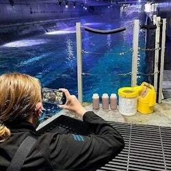 San Francisco: experiència VIP a l'Aquarium of the Bay - 1