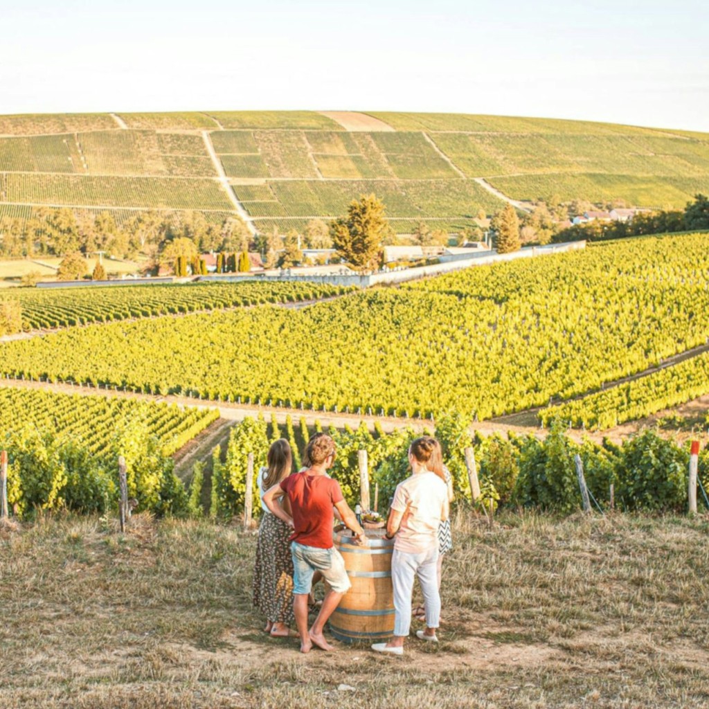Sancerre : Dégustations de vins + déjeuner au départ de Paris - 1