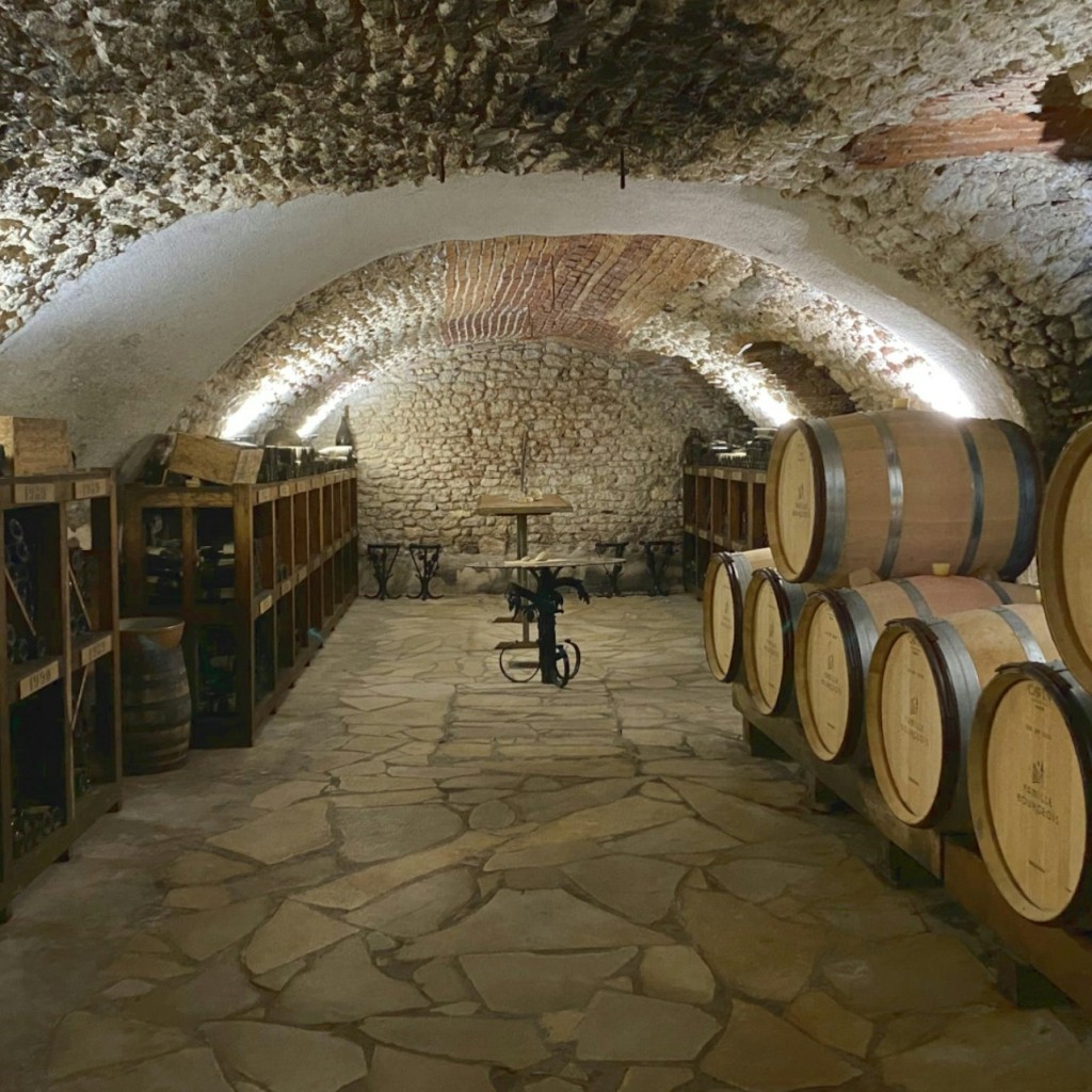 Sancerre : Dégustations de vins + déjeuner au départ de Paris - 2