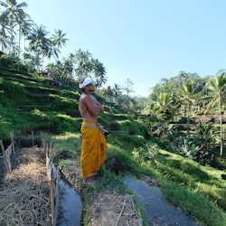 Visita panoràmica privada a Ubud i Tanah Lot - 3