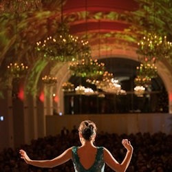 Schönbrunn Palace: Mozart & Johann Strauss Concert at the Orangerie - 3