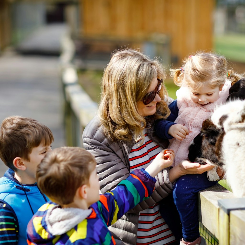 Schönbrunn Zoo & Children Museum: Entry + Private Guided Tour - 1