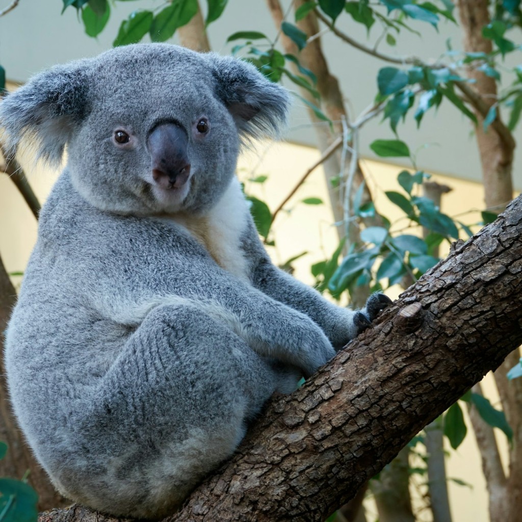 Schönbrunn Zoo & Children Museum: Entry + Private Guided Tour - 2