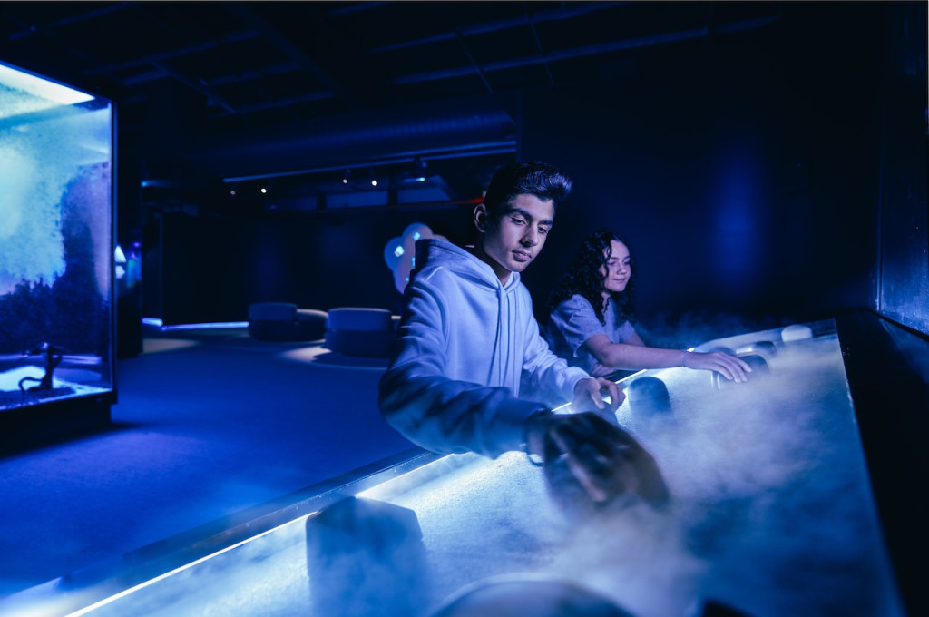 Scienceworks Melbourne (Scienceworks Melbourne - Admission) - 2