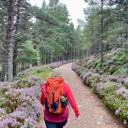 Scottish Highlands: tour a peu des d'Edimburg - 1