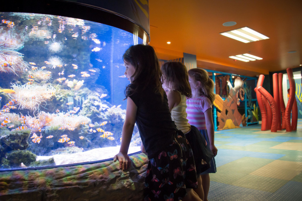 SEA LIFE Kelly Tarlton's Aquarium Ticket (SEA LIFE Kelly Tarlton's Aquarium - Admission) - 1