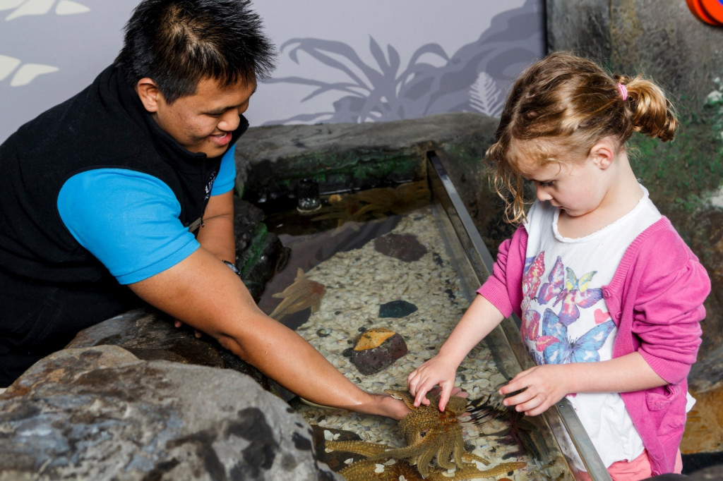 SEA LIFE Kelly Tarlton's Aquarium Ticket (SEA LIFE Kelly Tarlton's Aquarium - Admission) - 3
