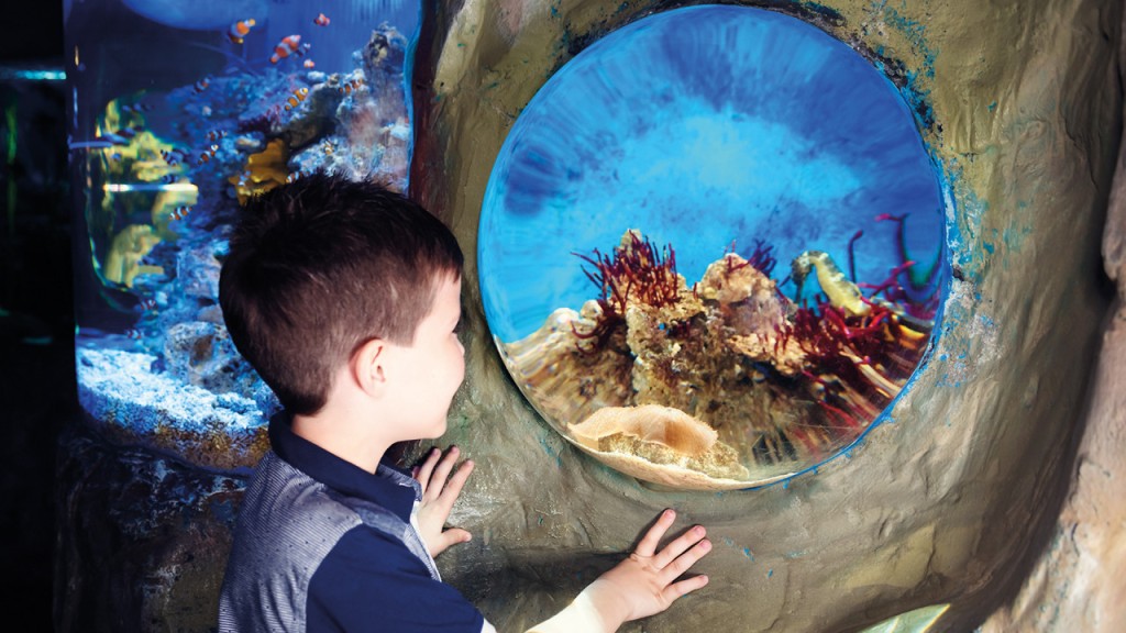 SEA LIFE London Aquarium Ticket (COMBO: Madame Tussauds London + SEA LIFE London Aquarium) - 3