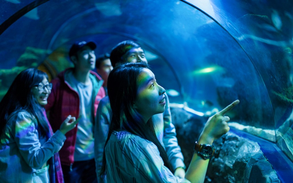 SEA LIFE London Aquarium Tickets (Deluxe Package) - 2