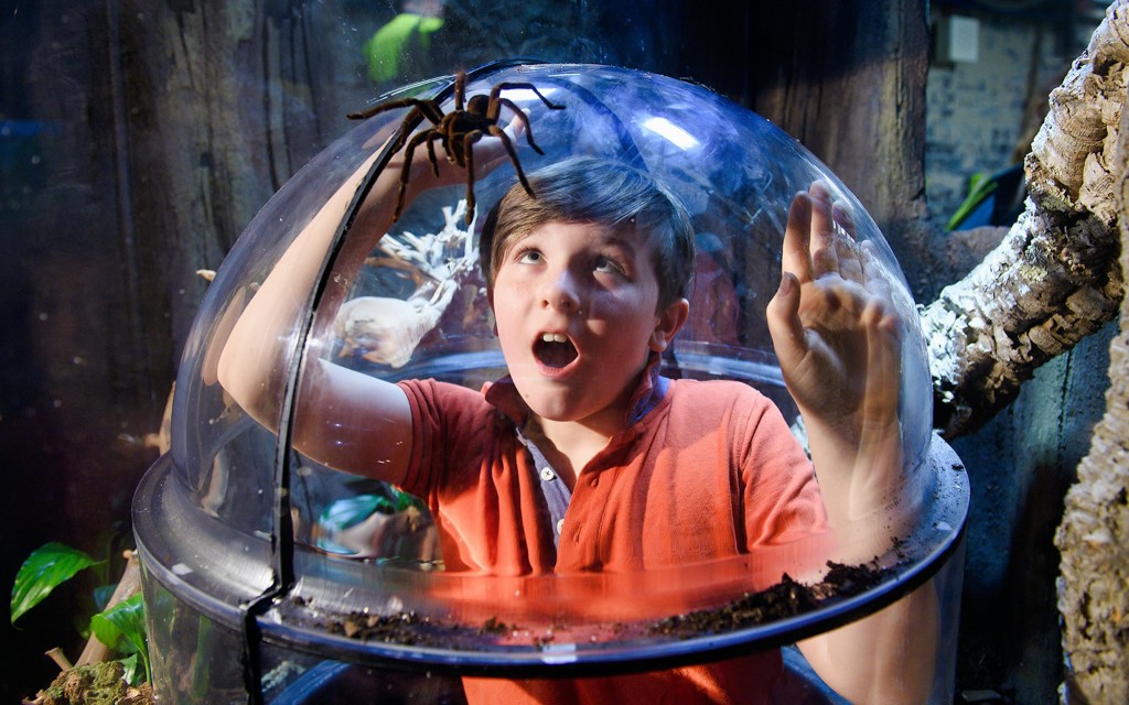 SEA LIFE London Aquarium Tickets (Deluxe Package) - 3