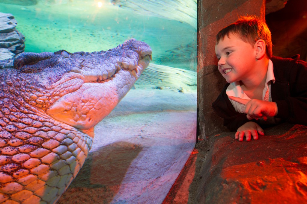 SEA LIFE Melbourne Aquarium Direct Entry Ticket (COMBO: Melbourne Skydeck (Fixed Dated General Admission) + SEA LIFE Melbourne Aquarium (Open Dated)) - 2