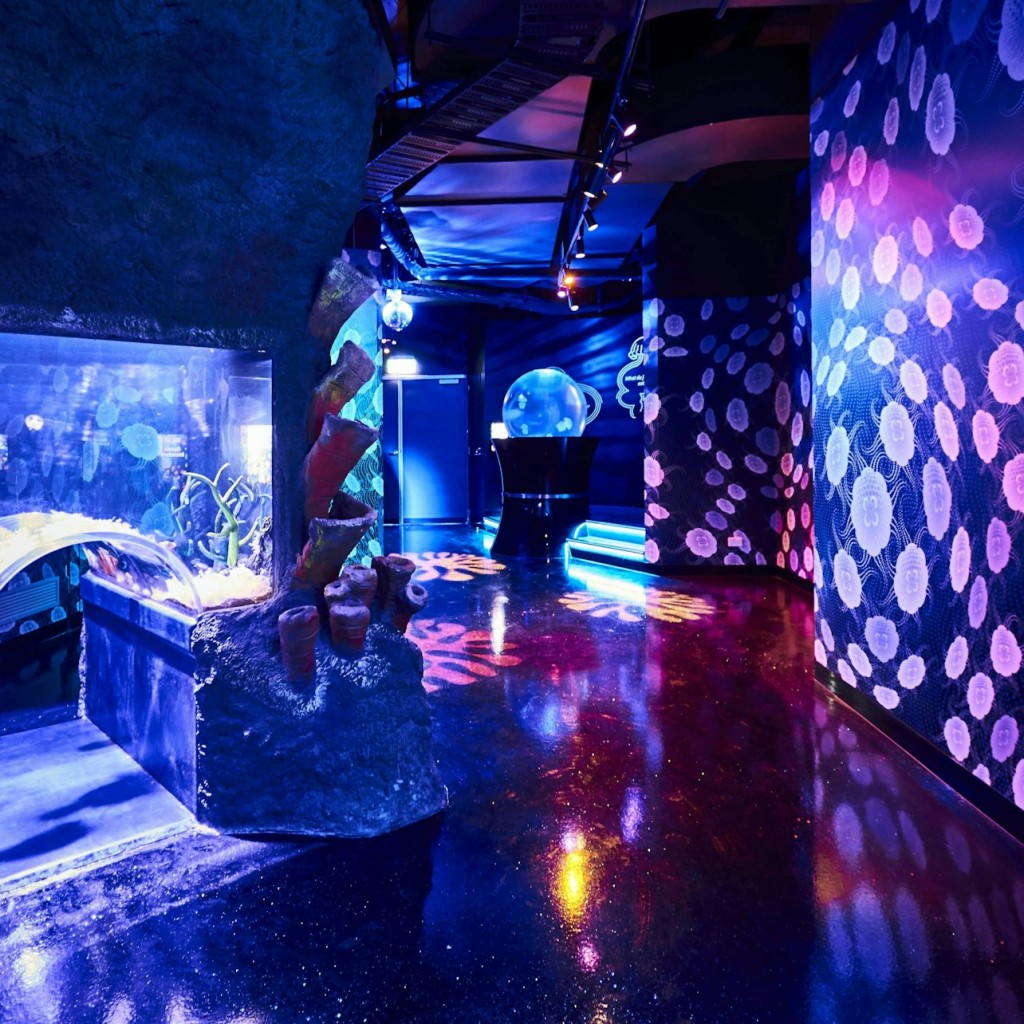 SEA LIFE Melbourne Aquarium : Billet coupe-file (Produit B2B) - 2