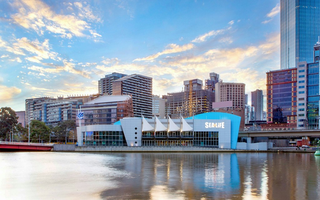 Billets pour l'aquarium SEA LIFE de Melbourne (Entry Ticket) - 1