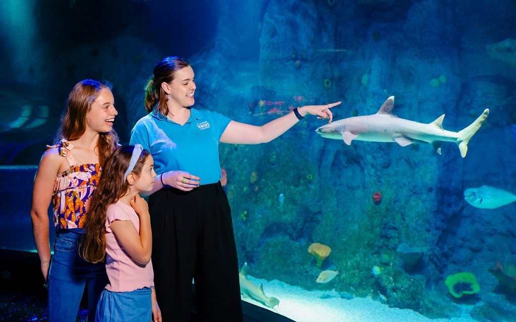 Billets pour l'aquarium SEA LIFE de Melbourne (Entry Ticket) - 3
