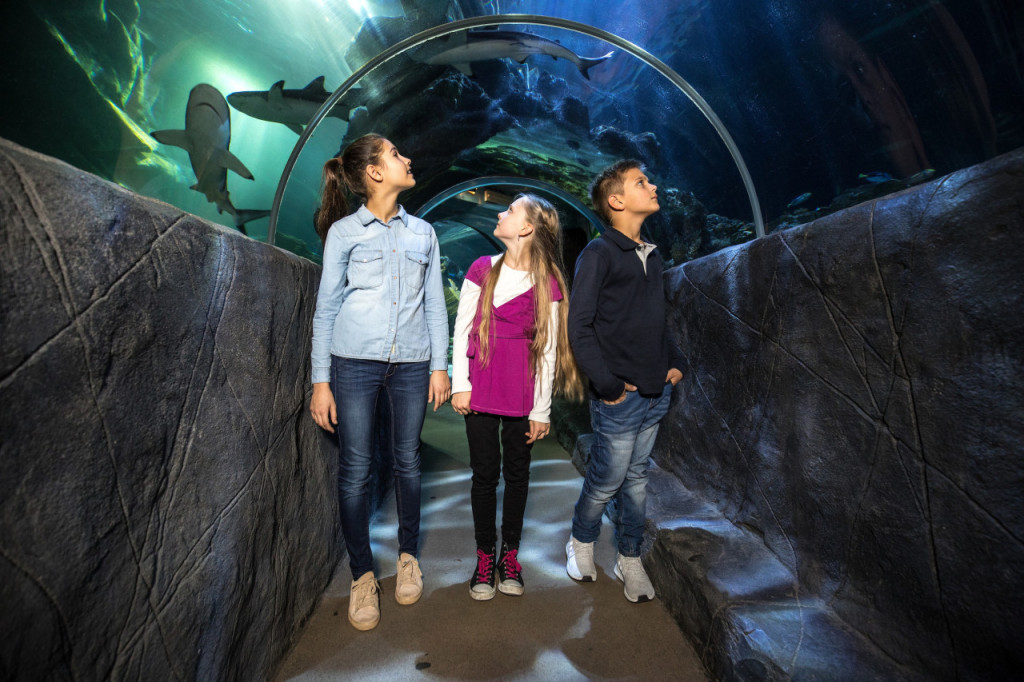 SEA LIFE Munich Aquarium Ticket (SEA LIFE Munich Aquarium - Admission) - 1