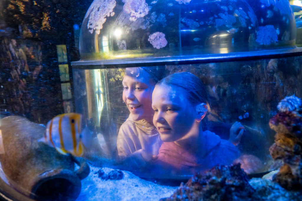 SEA LIFE Munich Aquarium Ticket (SEA LIFE Munich Aquarium - Admission) - 2
