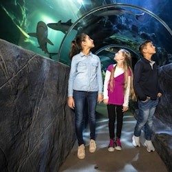 SEA LIFE Munich: Entry Ticket - 1