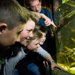SEA LIFE Munich: Entry Ticket - 2